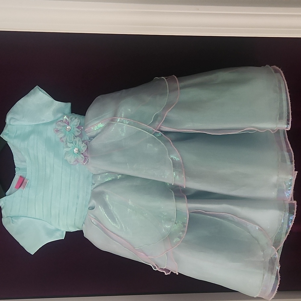 Little girl Princess dress size 5.